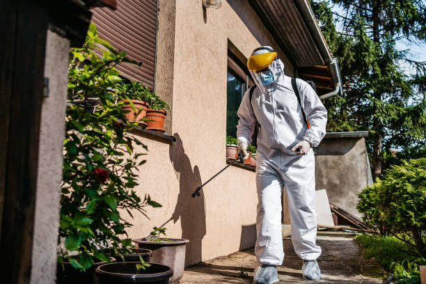 Best Flea Control Services  in Waukon, IA