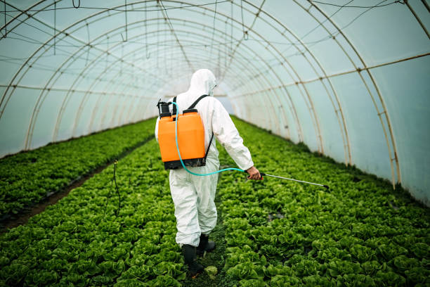 Best Residential Pest Control  in Waukon, IA