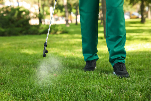 Best Commercial Pest Control Services  in Waukon, IA