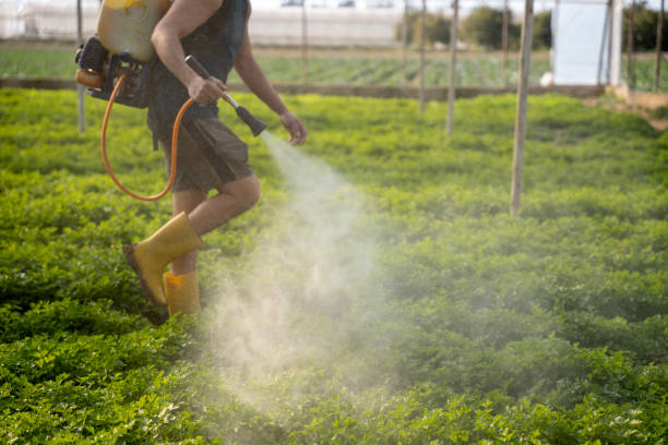 Professional Pest Control in Waukon, IA