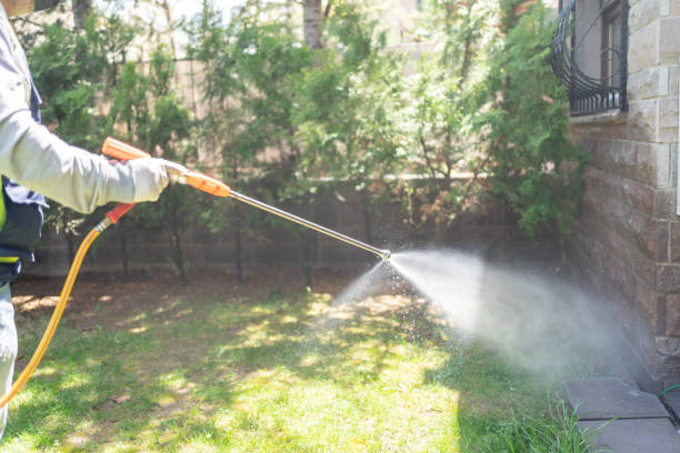 Best Emergency Pest Control  in Waukon, IA