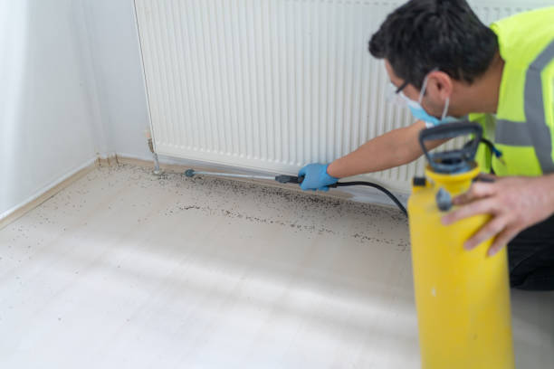 Best Best Pest Control Companies  in Waukon, IA