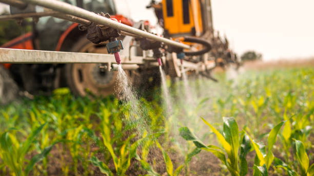 Best Pest Inspection Near Me  in Waukon, IA